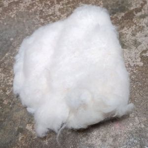 H4/Mech-1 Raw Cotton