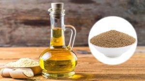 Ajwain Oil