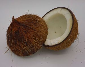 Fresh Coconut