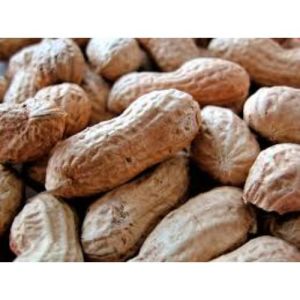 High-Nutrition Large Quantity Red Skin Peanuts