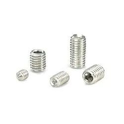 Monel 500 Grub Screw