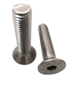 Super Duplex 32760 Allen CSK Bolt