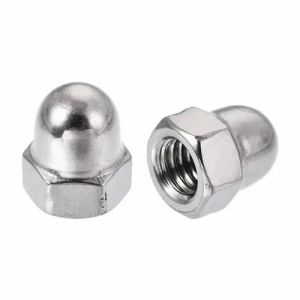 Super Duplex 32760 Dome Nut