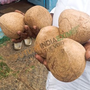 Coconut Copra
