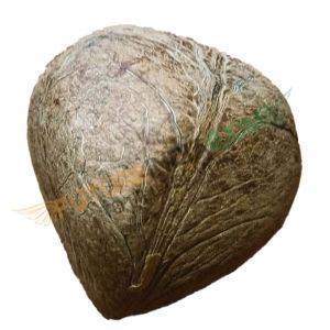 Coconut Copra