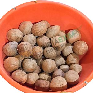 Coconut Copra