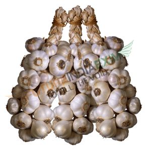Fresh Garlic