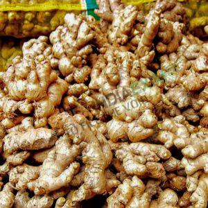 Fresh Ginger