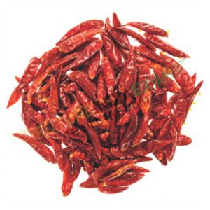 Dried Guntur Sannam Red Chilli