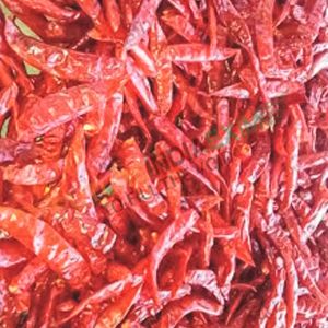 Dried Guntur Sannam Red Chilli