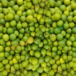 Fresh Mosambi