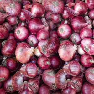 Fresh Pink Onion
