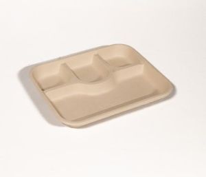 3 Compartment Bagasse Plate