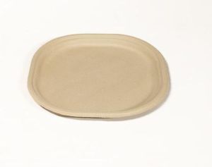 Bagasse Plates