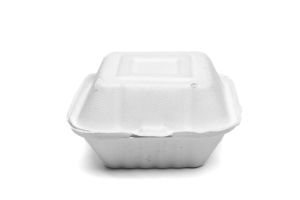 600 ml Bagasse Burger Box