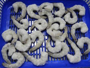 Frozen Vannamei Shrimp Tails