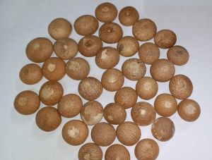 115 Sirsi Betel Nut