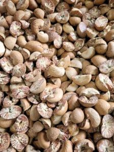 Fali Mangalore Betel Nut