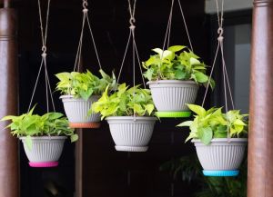 hanging flower basket