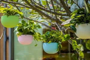 Multicolor Round Hanging Flower Pot