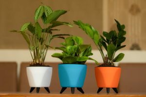 Plastic Self Watering Planters