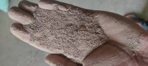 Castor seed Doc High Protein