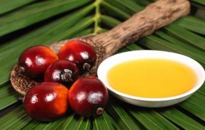 Refined Palm Olein Oil