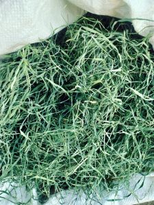 Barley Grass Powder