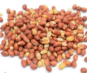 Redskin Salted Peanut
