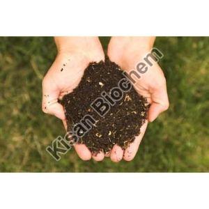 Organic City Compost Fertilizer