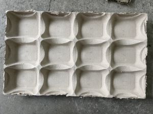 Paper Pulp Moulded Packaging Tray
