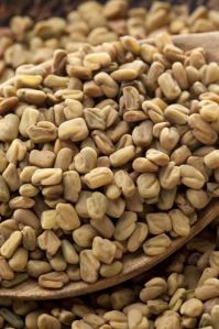 Fenugreek