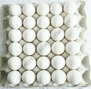 Indian White Shell Eggs