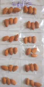 badam seeds