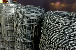 Galvanized Iron Grassland Wire Mesh