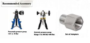LDPG-01 Digital Reference Pressure Gauges