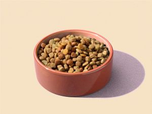 Dog food kibble