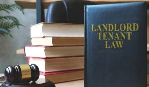 Property & Tenant Law Services