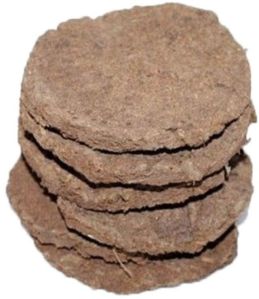 Dry Cow Dung Cake