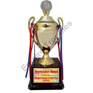 Designer Trophy