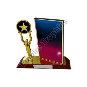 Acrylic Design Trophy