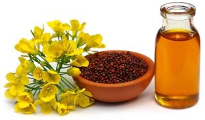 Cold Pressed Mustard Oil