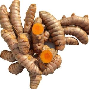 Organic turmeric seeds