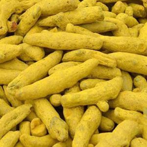 Premium Turmeric Finger