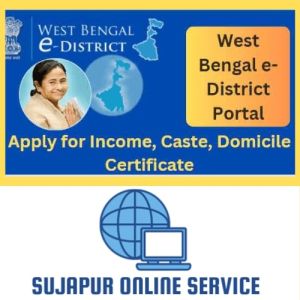 Income Cast Domicile Certificate