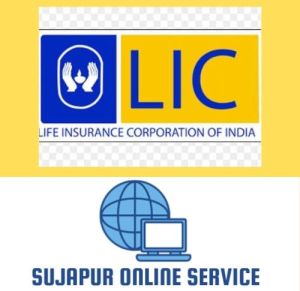 LIC Policy Submission