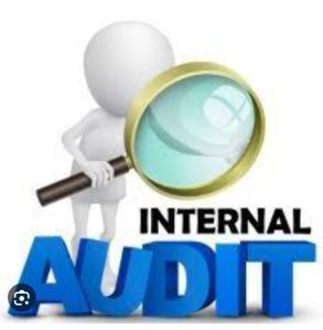 hr social internal audit service