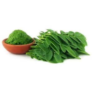 Natural Moringa Leaf Powder