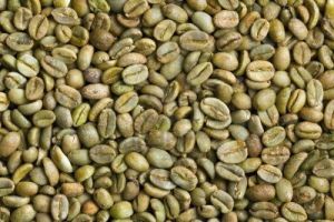 Green Arabica Coffee Bean