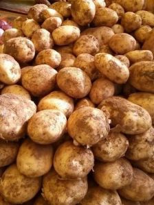 Fresh Ooty Potato